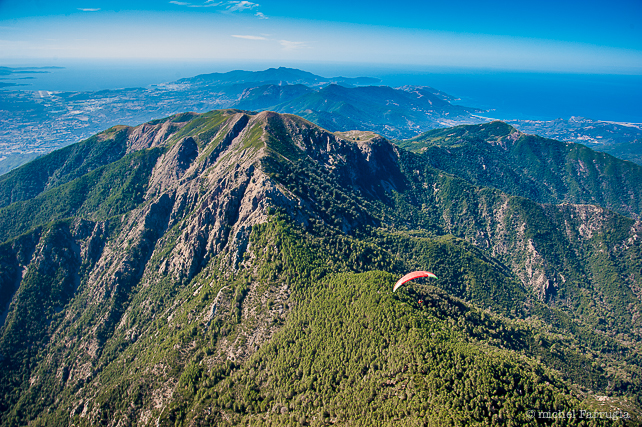 03102018-_FRG2539 - copie