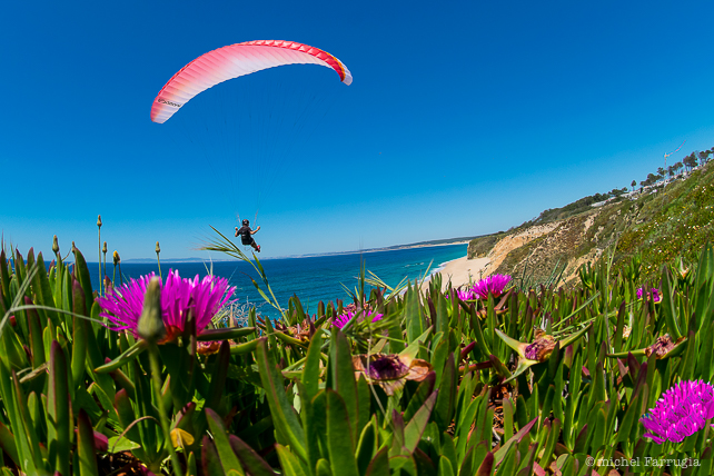 Bicas_DSC1158-Modifier